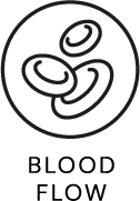 Blood Flow
