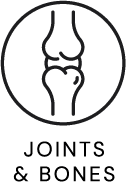 Joints & Bones